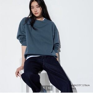 Uniqlo Crewneck Long Sleeve Sweatshirt